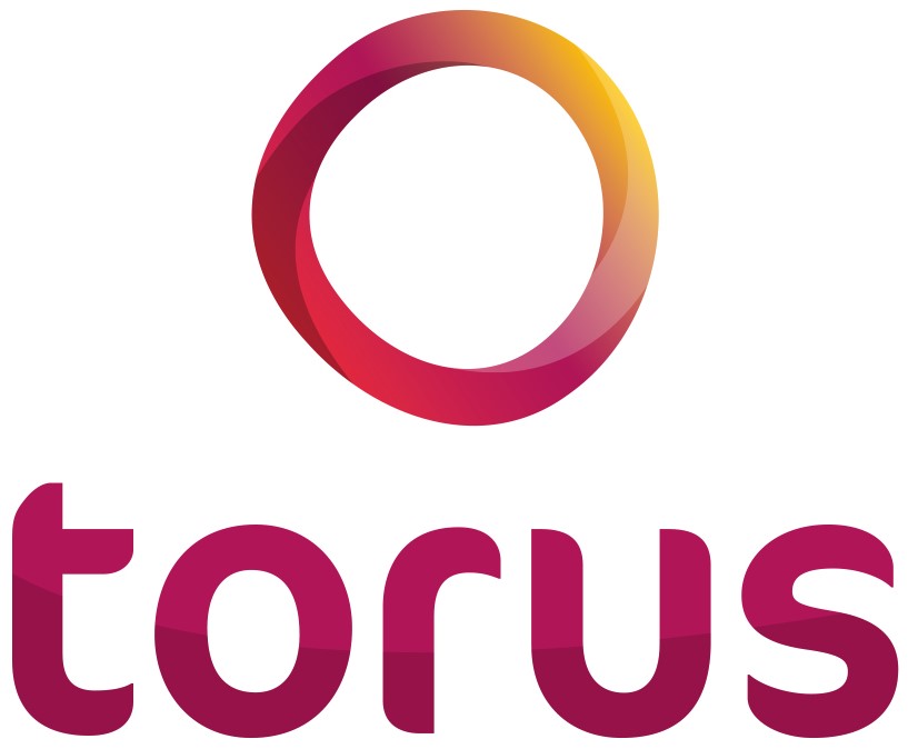 Torus logo .1